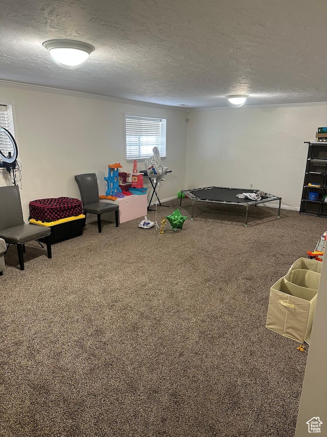 1145 N 560 W, Orem, UT 84057 - rec room with carpet floors, a textured ceiling, and crown molding