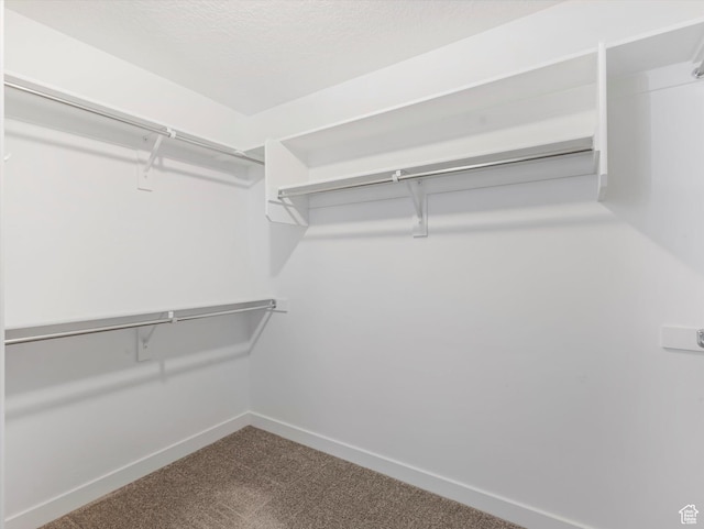 1907 E Brooklyn Cir N, Saratoga Springs, UT 84045 - walk in closet featuring carpet floors