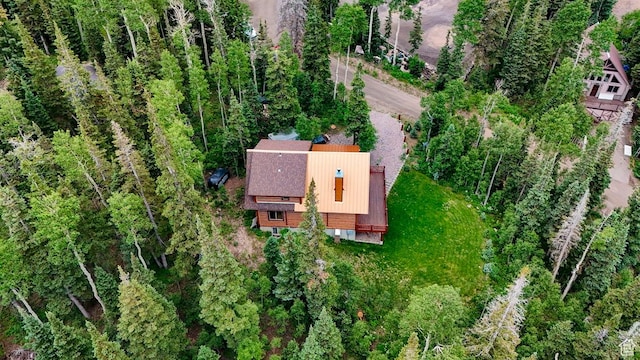 556 N Half Circle Dr, Brian Head, UT 84719 - view of subject property