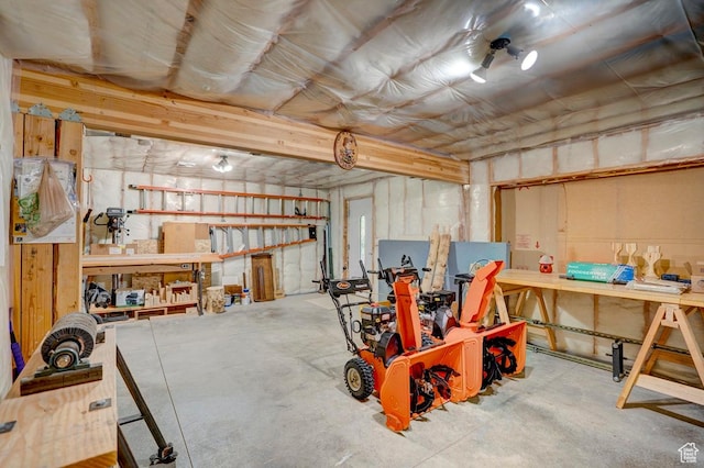 556 N Half Circle Dr, Brian Head, UT 84719 - garage featuring a workshop area