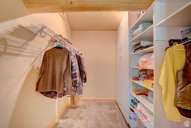 556 N Half Circle Dr, Brian Head, UT 84719 - spacious closet with carpet