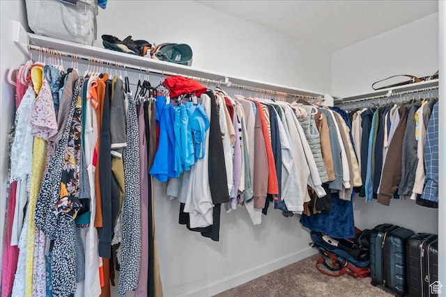1098 E Vessel Ct, Saratoga Springs, UT 84045 - walk in closet with carpet floors