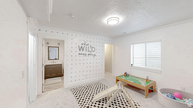 645 Stonebrook Ln, Santaquin, UT 84655 - game room featuring ornamental molding, light carpet, and a textured ceiling
