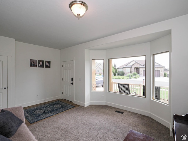 373 N Willow Haven Ave, Lehi, UT 84043 - entryway with carpet flooring and baseboards