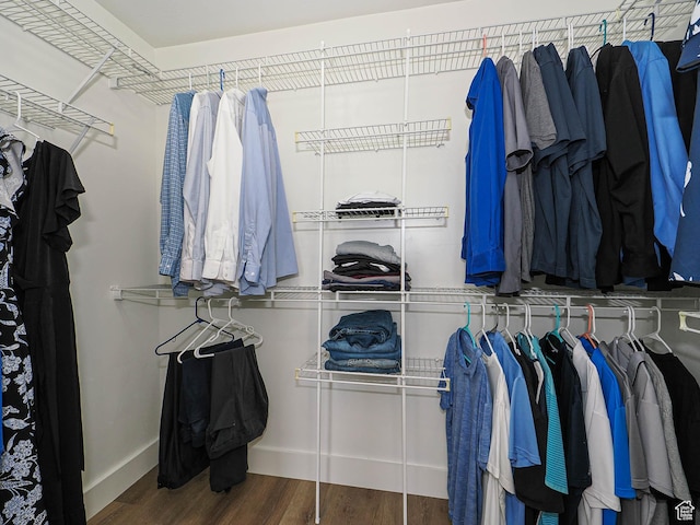 373 N Willow Haven Ave, Lehi, UT 84043 - walk in closet with wood finished floors