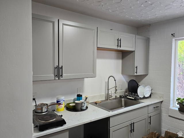 1134 W Illinois Ave S, Salt Lake City, UT 84104 - kitchen with a sink and gray cabinets