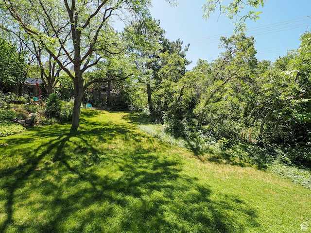3348 E Splendor Cir, Holladay, UT 84124 - view of grassy yard