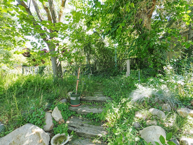 3348 E Splendor Cir, Holladay, UT 84124 - view of yard