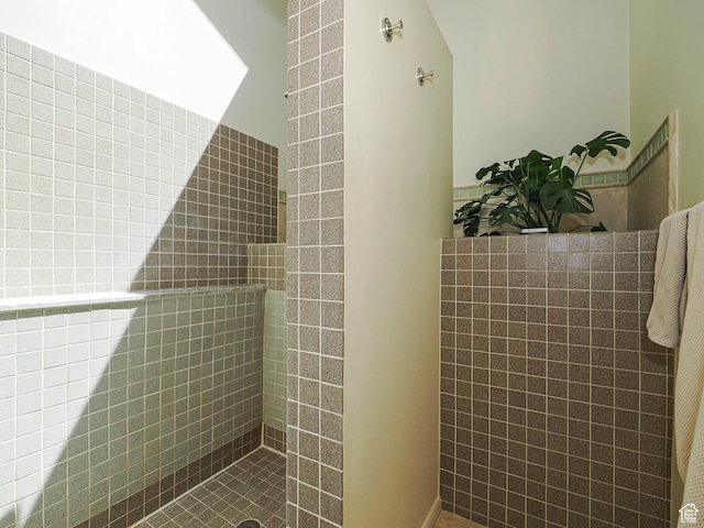 3348 E Splendor Cir, Holladay, UT 84124 - full bathroom with tiled shower