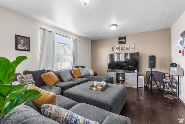 5453 W Mayflower St, West Jordan, UT 84081 - living room featuring dark wood-style flooring and a textured ceiling