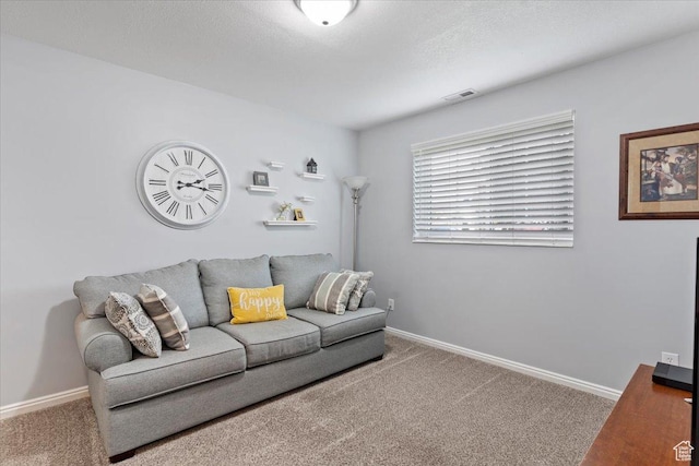 771 N 1725 W, Clinton, UT 84015 - carpeted living area with baseboards
