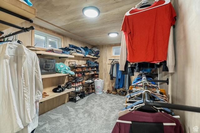 174 W Dawson St, Layton, UT 84041 - spacious closet featuring carpet floors