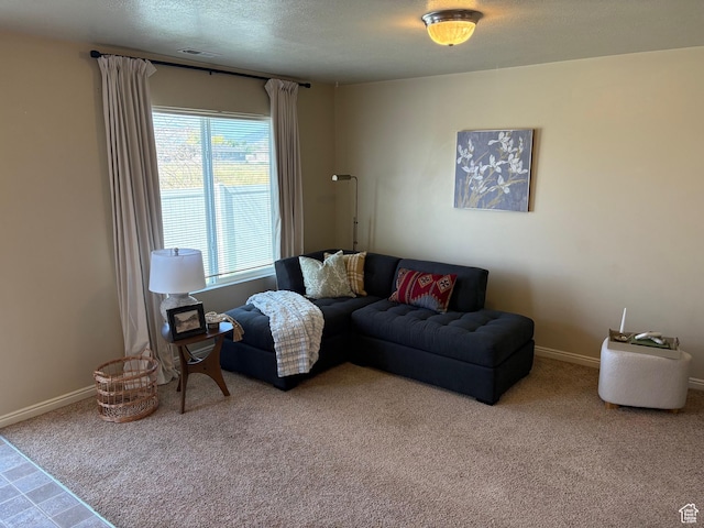 2896 W 3965 S Unit 86, West Haven, UT 84401 - carpeted living area featuring baseboards and a textured ceiling