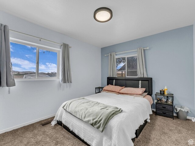 14678 S 12900 W, Elberta, UT 84626 - photo 11
