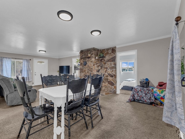 14678 S 12900 W, Elberta, UT 84626 - photo 7