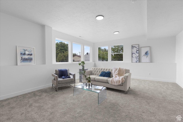 469 N 1360 E Unit 13, Tooele, UT 84074 - carpeted living room with a textured ceiling and baseboards