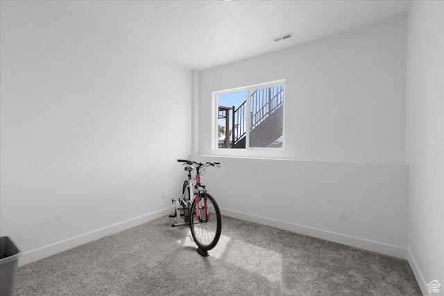 469 N 1360 E Unit 13, Tooele, UT 84074 - exercise area with carpet flooring