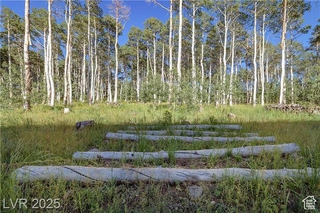 1458 W 6400 S, Parowan, UT 84761 - view of yard