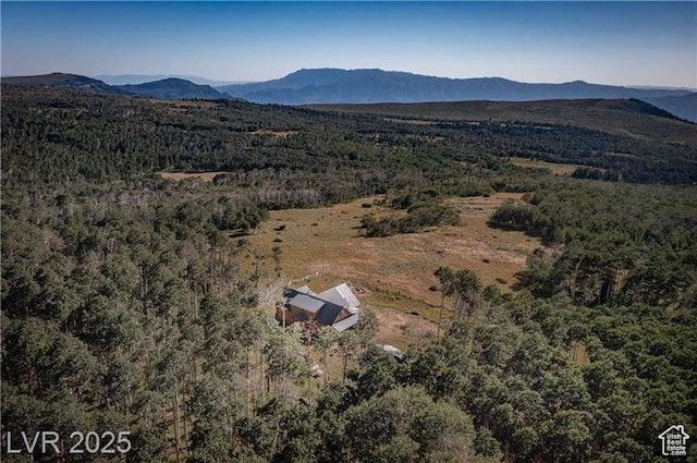 1458 W 6400 S, Parowan, UT 84761 - aerial view of a mountain backdrop and a forest