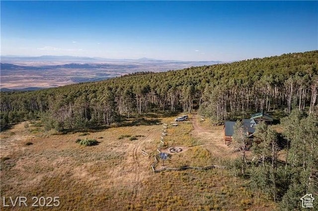 1458 W 6400 S, Parowan, UT 84761 - bird's eye view of a heavily wooded area