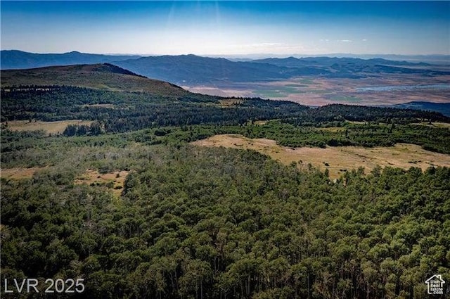1458 W 6400 S, Parowan, UT 84761 - mountain view featuring a forest