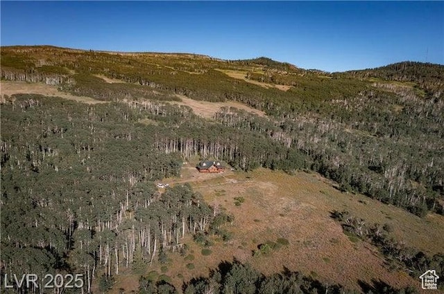 1458 W 6400 S, Parowan, UT 84761 - aerial overview of property's location
