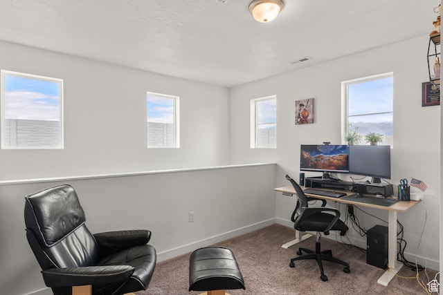 1546 W Parkview Dr, Syracuse, UT 84075 - home office with baseboards and carpet floors