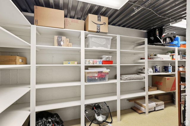 4048 W Ivy Ave, Mountain Green, UT 84050 - view of storage area