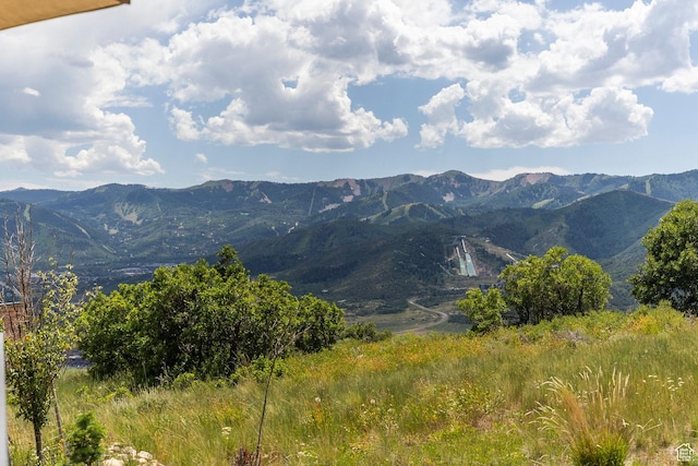 1433 Snow Berry St, Park City, UT 84098 - mountain view