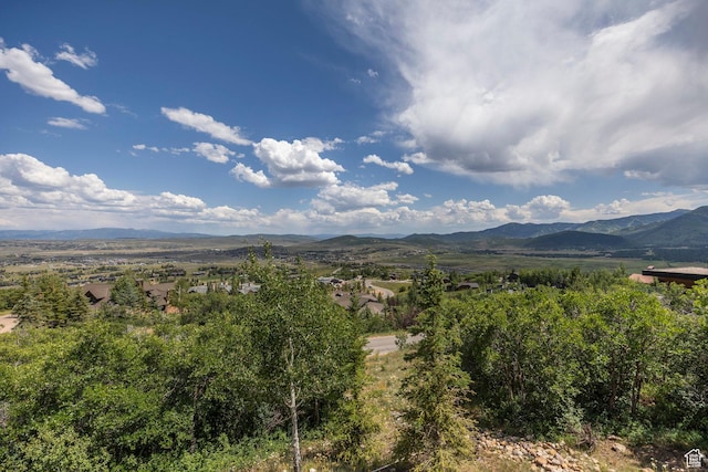 1433 Snow Berry St, Park City, UT 84098 - view of mountain background