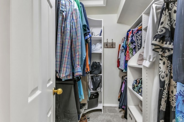 378 N 1180 E, Pleasant Grove, UT 84062 - walk in closet featuring carpet