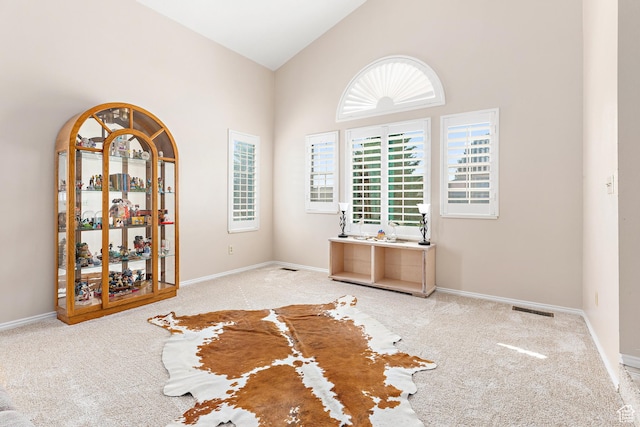 378 N 1180 E, Pleasant Grove, UT 84062 - unfurnished room with high vaulted ceiling and carpet floors