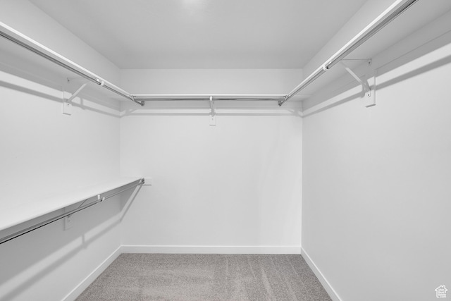 3362 S Zigzag Heron Dr Unit 813, Saratoga Springs, UT 84045 - walk in closet featuring carpet