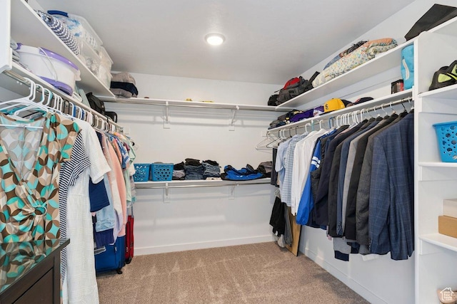 526 W 1360 N, Tooele, UT 84074 - walk in closet featuring carpet flooring