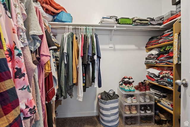 13159 S Herriman Rose Blvd, Herriman, UT 84096 - walk in closet with carpet