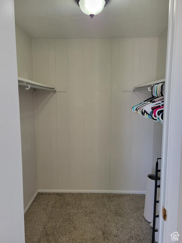 396 S 100 E, Tooele, UT 84074 - spacious closet with carpet