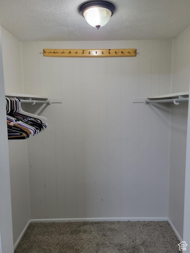 396 S 100 E, Tooele, UT 84074 - walk in closet featuring carpet flooring