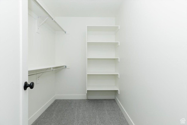 821 E 160 N, Hyde Park, UT 84318 - spacious closet with carpet flooring