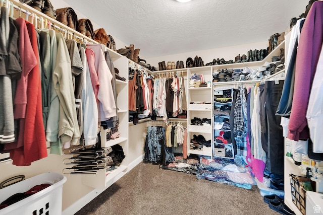 4390 N Diamond Ln, Erda, UT 84074 - spacious closet with carpet flooring