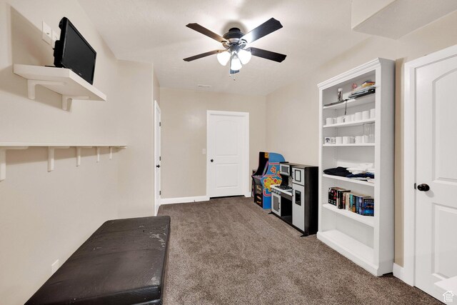 4390 N Diamond Ln, Erda, UT 84074 - workout room featuring carpet flooring and a ceiling fan