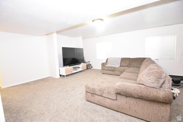 1568 Dawson Ln, Tooele, UT 84074 - carpeted living room featuring baseboards