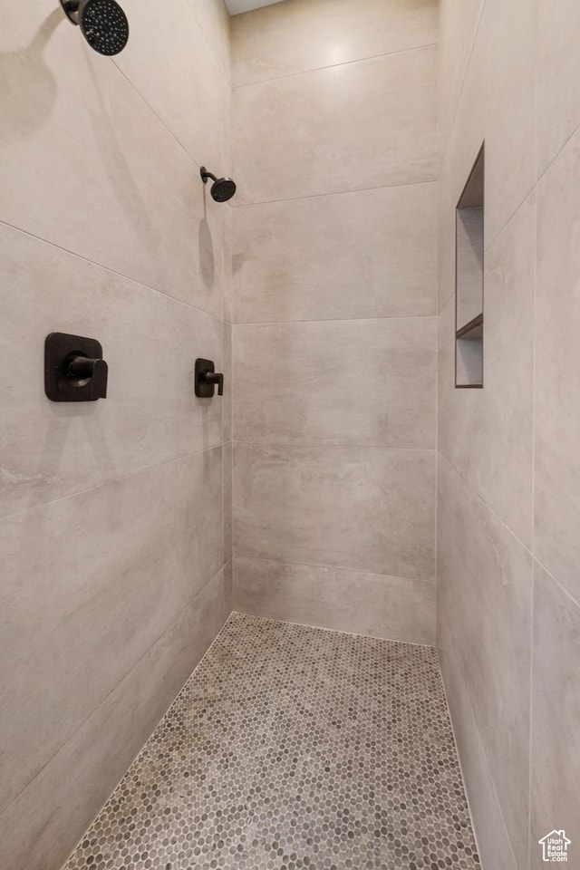2950 E Naboo Ln, St George, UT 84790 - full bathroom featuring a tile shower