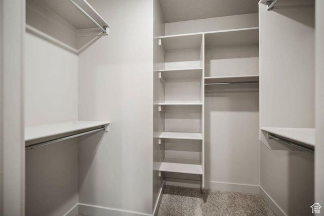 775 E 100 N Unit 83, Enterprise, UT 84725 - view of walk in closet