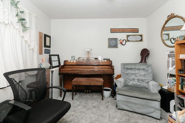 14360 N 6000 W, Garland, UT 84312 - sitting room with carpet