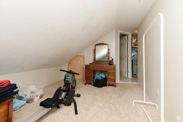 14360 N 6000 W, Garland, UT 84312 - exercise area featuring carpet floors and vaulted ceiling