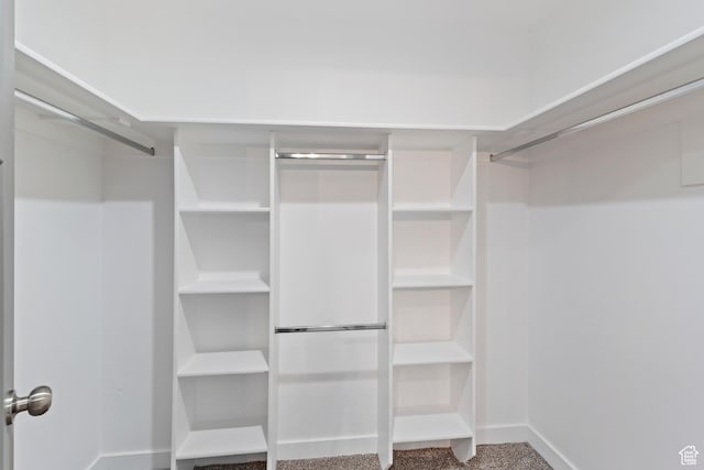 2835 Lincoln Ave, Ogden, UT 84401 - view of walk in closet