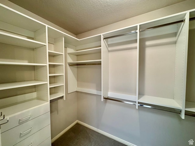 1341 E 5200 S, South Ogden, UT 84403 - walk in closet featuring dark colored carpet