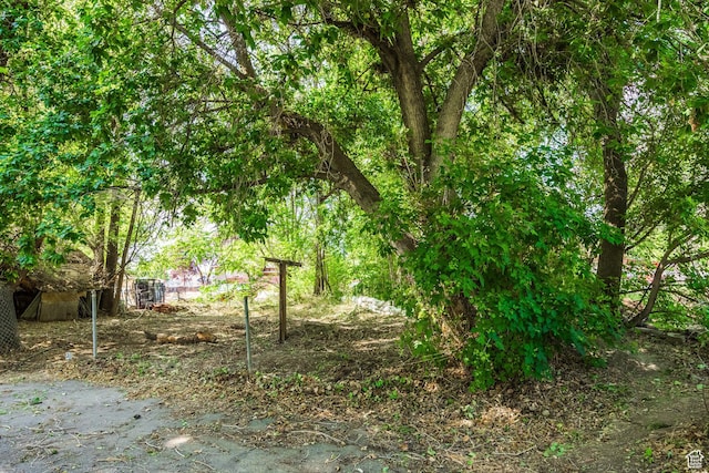 190 N 200 E, Pleasant Grove, UT 84062 - view of yard