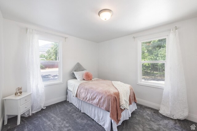 190 N 200 E, Pleasant Grove, UT 84062 - bedroom with multiple windows and dark colored carpet