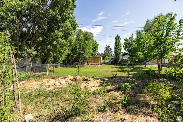 190 N 200 E, Pleasant Grove, UT 84062 - view of yard